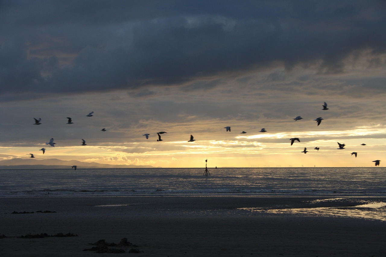 Skyline and Beach